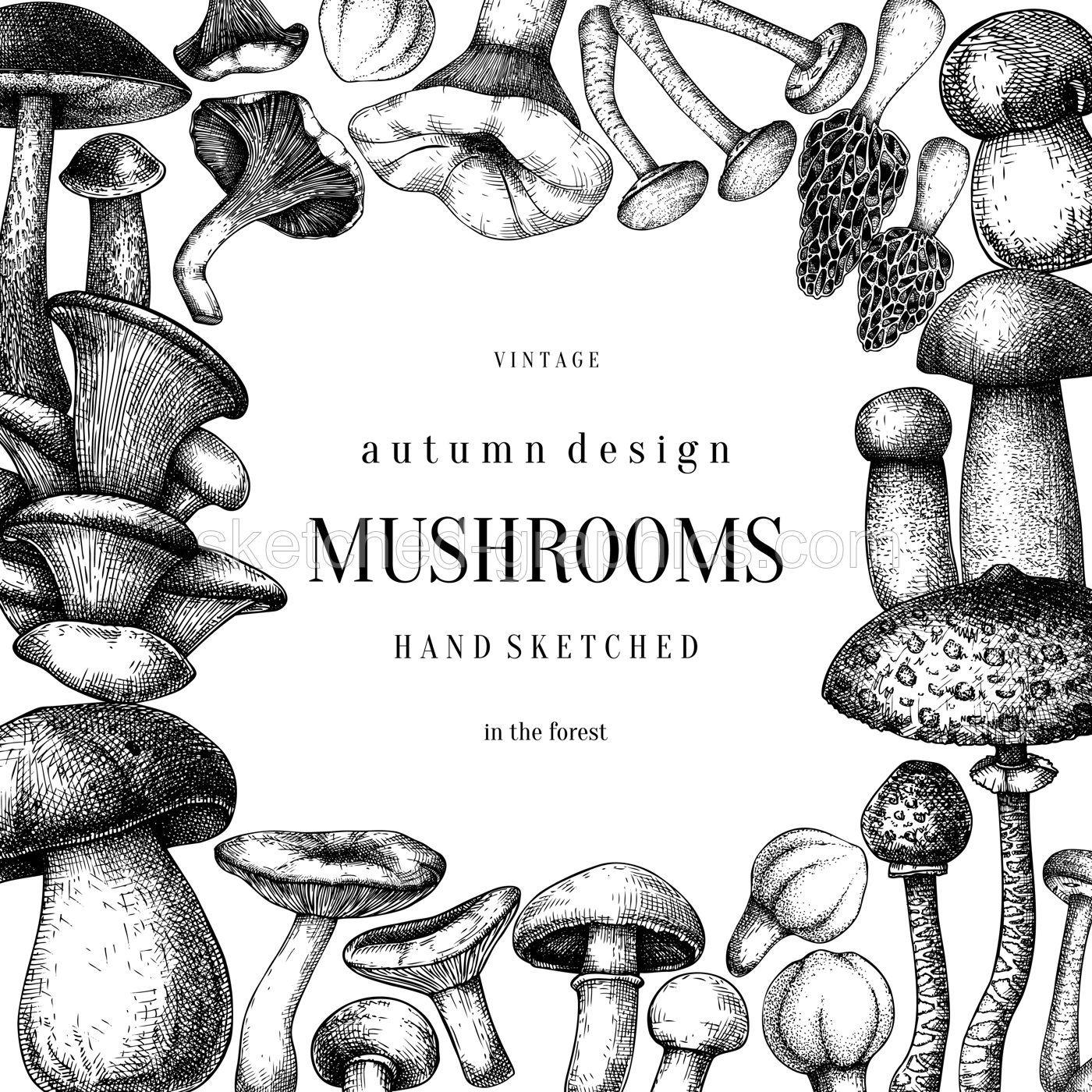 Edible mushrooms background. Hand drawn vector illustration. Forest mushroom sketches. NOt AI generated Illustration